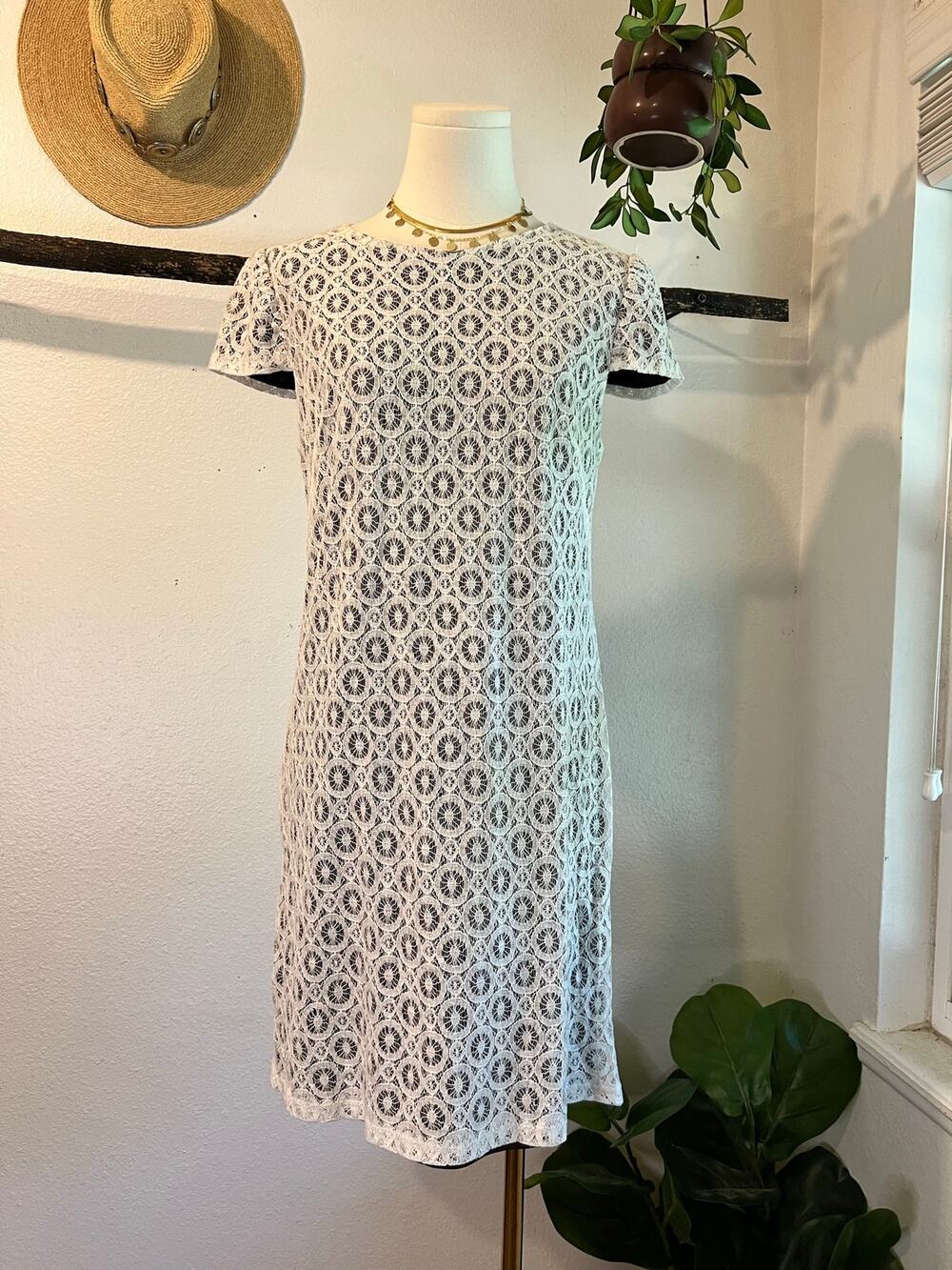 Suzi Chin Brown Cotton Blend Crochet Lace Short Sleeve Mini Dress Size 6